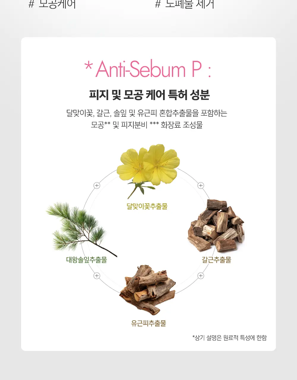[블랙헤드/피지개선] 테라비코스 차콜 엔자임 워싱 파우더 40g 상세페이지 20